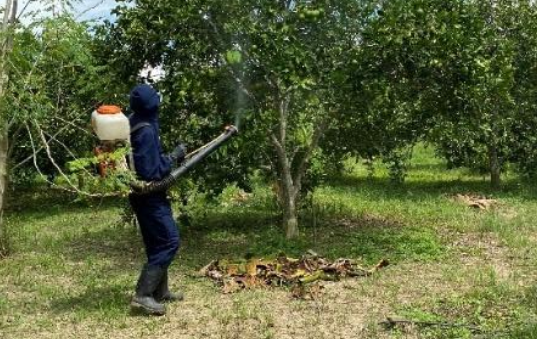 ¿POR QUÉ ES IMPORTANTE EL USO ADECUADO DE LOS PLAGUICIDAS?